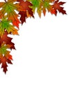 Fall leaves corner design colorful Royalty Free Stock Photo