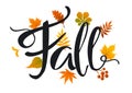 Fall leaves foliage background Royalty Free Stock Photo