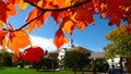 Fall Leaves Framing Old Buildings in New England Autumn Royalty Free Stock Photo