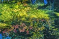 Fall Leaves Garden Reflection Abstract Ginkakuji Silver Temple Kyoto Japan Royalty Free Stock Photo