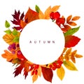 Fall leaves, hand drawn vector watercolor illustration Royalty Free Stock Photo