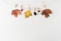 Fall leaves hanging on a clothesline isolated on white, copy space. Flat lay autumn background Royalty Free Stock Photo