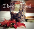 Fall Leaves and a Jar of Acorns on a Table. I Love Autumn!