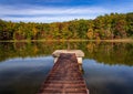 Fall leaves and metal pier in Coopers Rock State Forest in WV