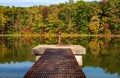 Fall leaves and metal pier in Coopers Rock State Forest in WV