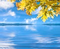 Fall Leaves over Water Royalty Free Stock Photo