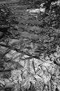 Fall leaves on path railroad tie steps, black and white