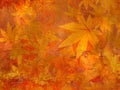 Fall leaves pattern Royalty Free Stock Photo
