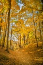 Fall Leaves at Pewits Nest, Baraboo, Wisconsin, USA Royalty Free Stock Photo