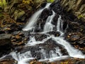 Fall leaves at Piney Run Falls at Potomac Waypoint, Virginia