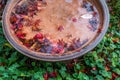 Fall leaves and rainwater in a clay bird bath in a garden