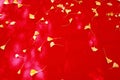 Fall leaves on red fabric