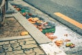 Fall leaves in the road and the pavement