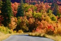 Fall Leaves in the Rocky Mountains above Provo, Utah Royalty Free Stock Photo