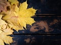 Fall leaves and rustic wood background