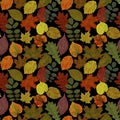 Fall leaves seamless pattern background. Autumn leaf colorful foliage