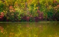 Fall leaves surround reservoir in Coopers Rock State Forest in WV