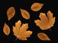 Fall leaves on a texturized background