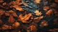 Stormy Leaves: Hyperrealistic Rendering Of Orange Leaves Falling And Floating In Water