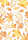 Fall leaves watercolor clipart. Orange leaf hand painted illustration.