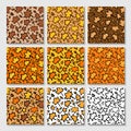 Fall Leopard or jaguar seamless pattern made of maple leaves. Trendy animal print with autumn colors. Set of vector Royalty Free Stock Photo