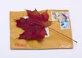 Fall letter