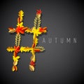 Autumn symbol Royalty Free Stock Photo