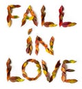 FALL IN LOVE makes of colorful autumn leaves. Positive affirmation mades of fall foliage. Autumnal design.