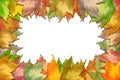 Fall maple leaf border Royalty Free Stock Photo