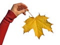 Fall Maple leaf in Hand Royalty Free Stock Photo