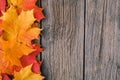 Fall maple leaf on wooden table, background texture Royalty Free Stock Photo