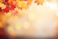 Fall maple leaves on autumn blurred background in golden hour, with copy space Royalty Free Stock Photo