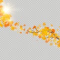 Fall maple leaves with delicate sun for decoration. Autumn leaves border template. Design element. EPS 10 Royalty Free Stock Photo