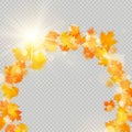 Fall maple leaves frame with delicate sun for decoration. Autumn leaves border template. Design element. EPS 10 Royalty Free Stock Photo