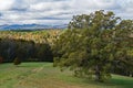 Fall Meadow at Biltmore Royalty Free Stock Photo