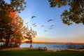 Canadian Geese Fall Migration In Northern Michigan