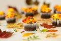 Fall Mini Chocolate Cupcake