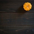 Fall Mini Pumpkin in Minimalist Still Life Card on Moody, Dark Shiplap Wood Boards with Extra Room or space for copy, text or your