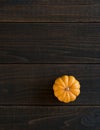 Fall Mini Pumpkin in Minimalist Still Life Card on Moody, Dark Shiplap Wood Boards with Extra Room or space for copy, text or your