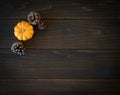 Fall Mini Pumpkin and Pine Cones in Minimalist Still Life Card on Moody, Dark Shiplap Wood Boards with Extra Room or space for cop