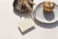 Fall mockup composition with empty blank invitation on ceramic dish, pumpkin and dried flowers. Royalty Free Stock Photo