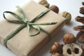 Fall mood. Acorns, tree nuts and seeds with a pine cone and a gift-wrapped box in brown paper and raffia with copy space.