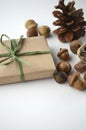 Fall mood. Acorns, tree nuts and seeds with a pine cone and a gift-wrapped box in brown paper and raffia with copy space.