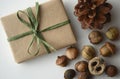 Fall mood. Acorns, tree nuts and seeds with a pine cone and a gift-wrapped box in brown paper and raffia with copy space.