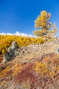 Fall in Mountains. Landscape panorama. Royalty Free Stock Photo