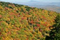 Fall in Mt. Mitchell, area Yancey County, North Carolina, United States