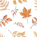 Fall natural seamless pattern with watercolor painted plants, foliage, berries. Autumn illustration Royalty Free Stock Photo