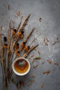 Fall nature flatlay. Autumn composition with dried flowers and a cup of tea. Royalty Free Stock Photo