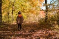 Fall nature park girl autumn forest background Royalty Free Stock Photo