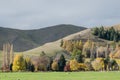 Fall nature scene, Beautiful autumnal park Royalty Free Stock Photo